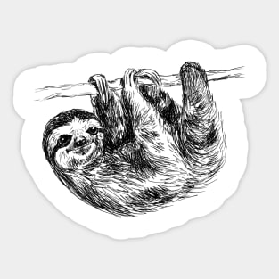 Sloth Print Sticker